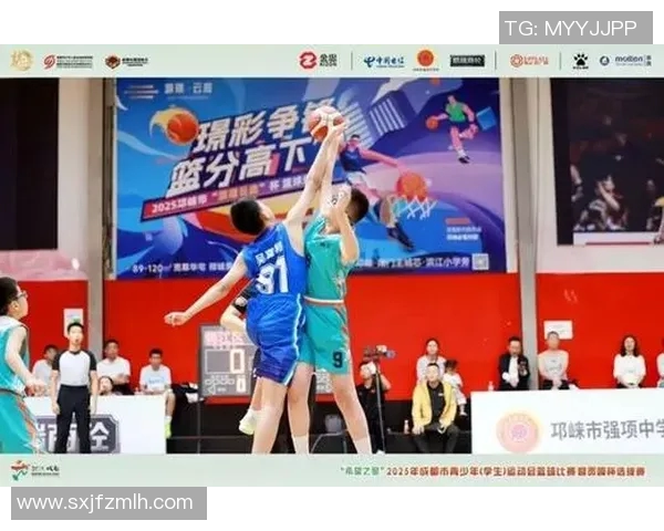 运动最新数据成都篮球队团队协作的力量与默契展现篮球精神的魅力与价值